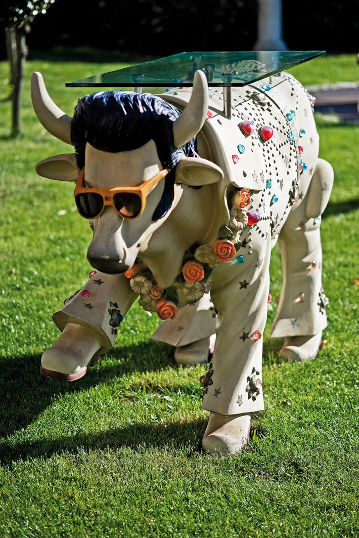 Elvis Kuh
